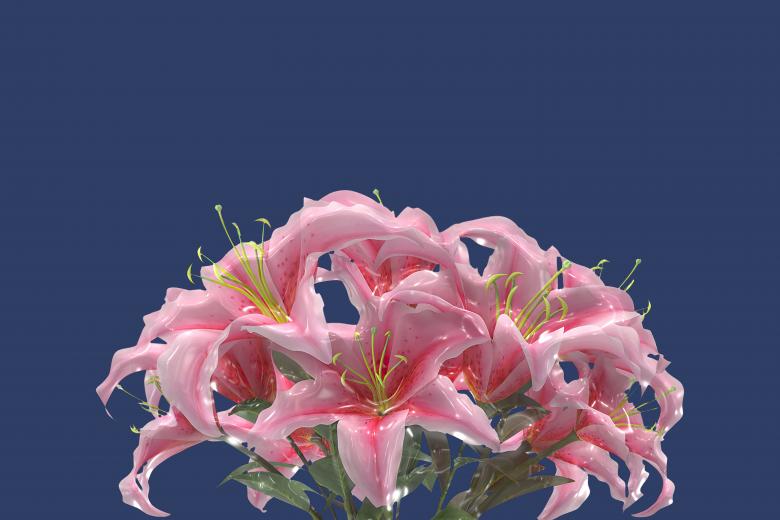Free stock image of Glossy style beautiful flowers created by John Leaver