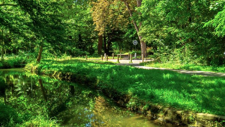 Free stock image of River in forest created by Dreamlandscape