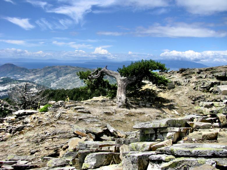 Free stock image of NATURE OF THASSOS, GREECE created by Timofte Alexia