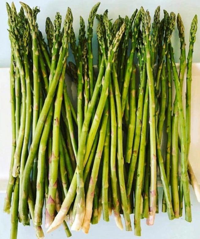 Free stock image of Asparagus created by Isaac Robertson