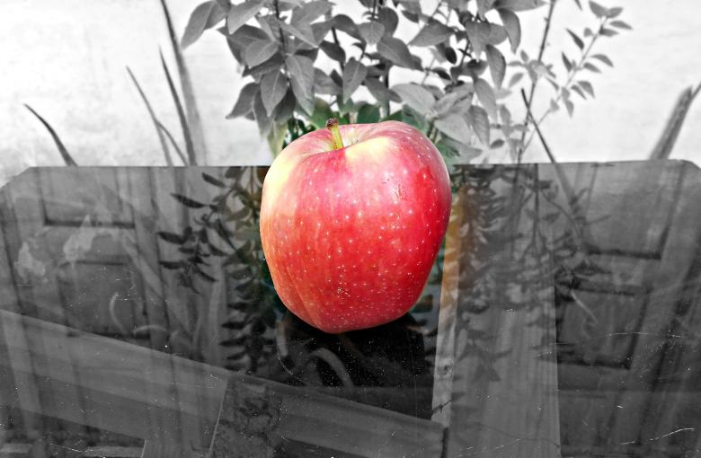 Free stock image of Red Apple created by Farzana Ahmad Awan