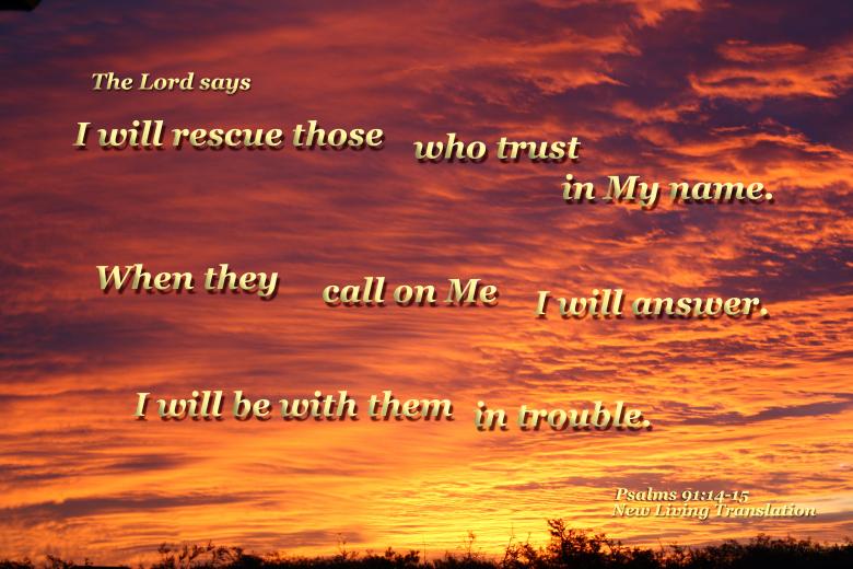 Free stock image of I will Rescue Those created by DFNatureAwed
