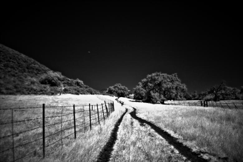 Free stock image of Rural Road created by Oleg  Ы