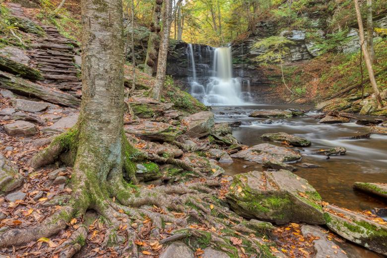Free stock image of Sheldon Reynolds Step Falls created by Nicolas Raymond