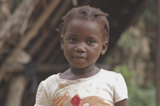 Young African beauty - Free Stock Photo