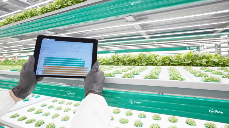 Free stock image of Salad On A Vertical Farm created by Evgeny Tsyganov