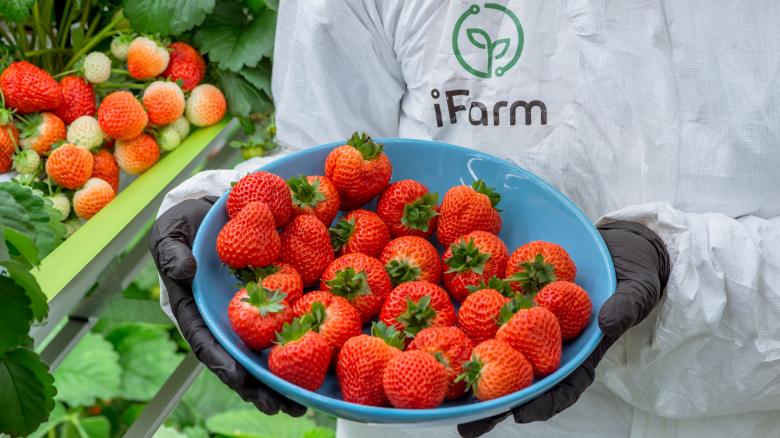 Free stock image of Fresh Strawberry created by Evgeny Tsyganov