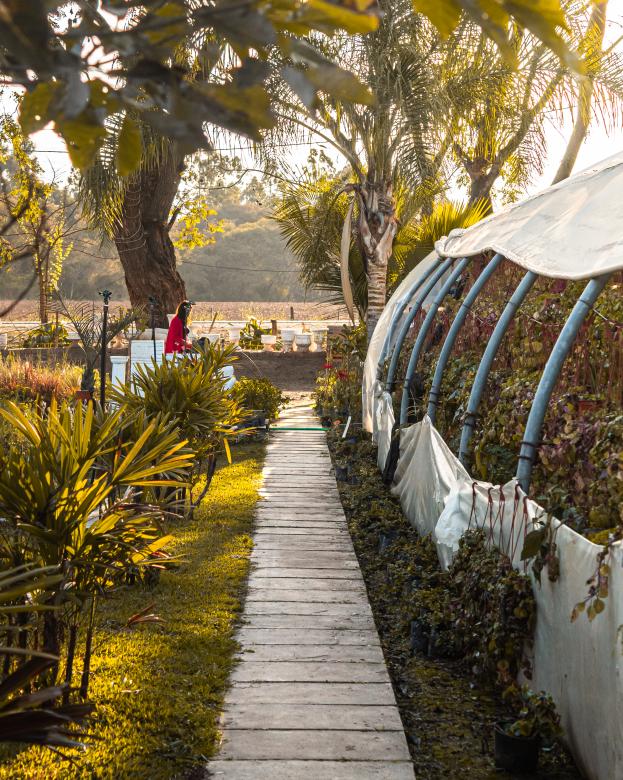 Free stock image of Nursery in Jujuy, Argentina created by Mateo Otoniel Farfan Boxler