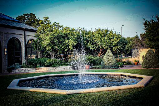 fountain of youth  - Free Stock Photo
