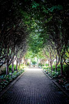 Walkway - Free Stock Photo