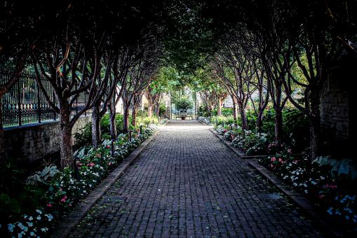 City walkway - Free Stock Photo