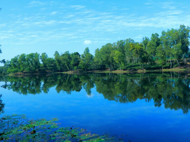 Free stock image of Beautiful tree shadow in the water created by Md. Mahadi Hasan