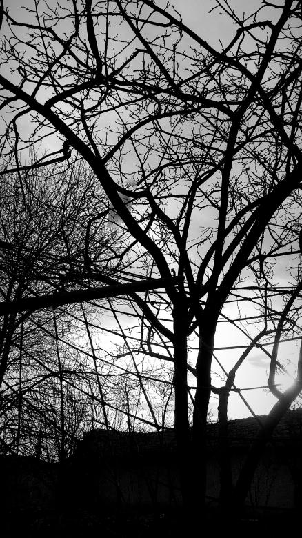 Free stock image of Dark created by büşra akgün