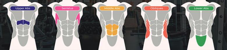 Free stock image of Upper Abs created by Isaac Robertson