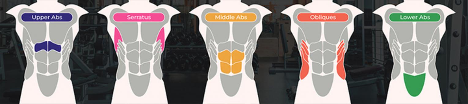 Upper Abs