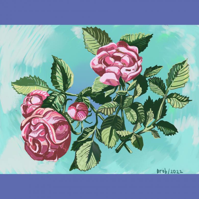 Free stock image of Rose bush created by Elizaveta