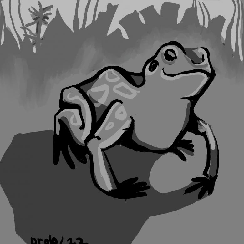 Free stock image of Frog created by Elizaveta