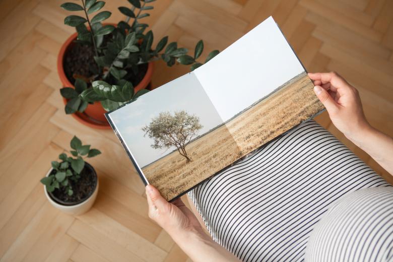 Free stock image of Photo book created by Vyvolej to