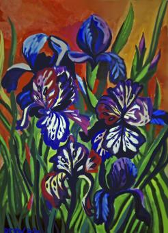 irises - Free Stock Photo