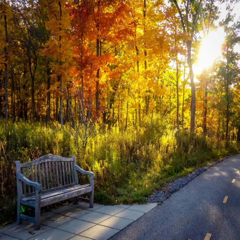 Free stock image of Autumn Walk created by Mq Best Visual Arts
