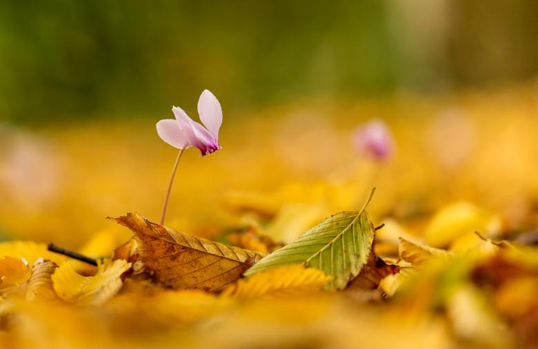 Free stock image of no matter what created by Martina Milito