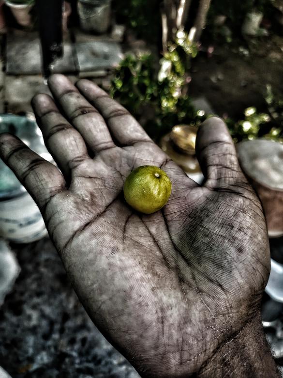 Free stock image of Lemon on a hand created by Youwe