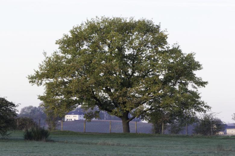 Free stock image of Landscape sint Pietersberg created by JHR Berchmans