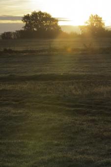 Landscape sint Pietersberg - Free Stock Photo
