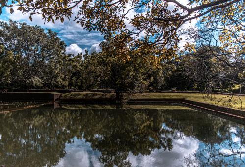 Reflections - Free Stock Photo