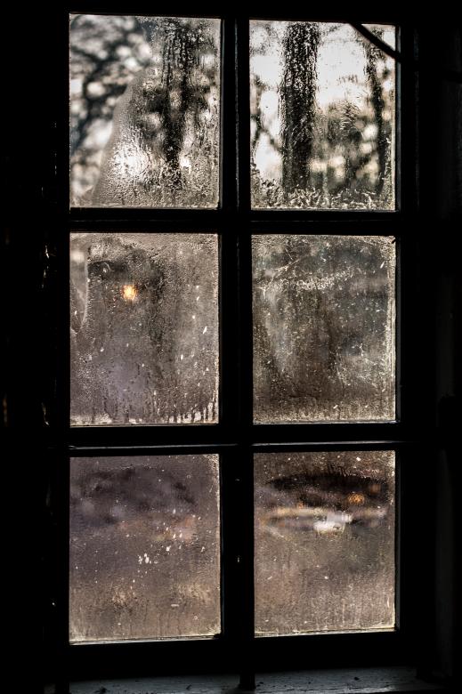 Free stock image of Window with glass panes  created by Janis Urtans