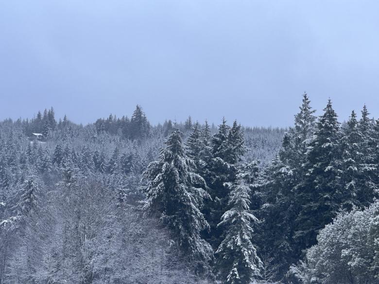 Free stock image of Northeastern Winters created by Christopher D Hill