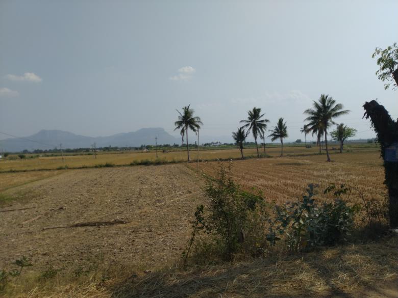 Free stock image of Agricultural fields created by Nagabhushan Biliangadi