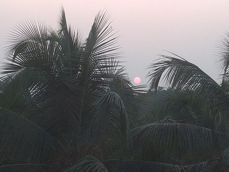 Free stock image of Sunset created by Nagabhushan Biliangadi
