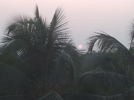Sunset - Free Stock Photo