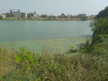 Lake in a city - Free Stock Photo