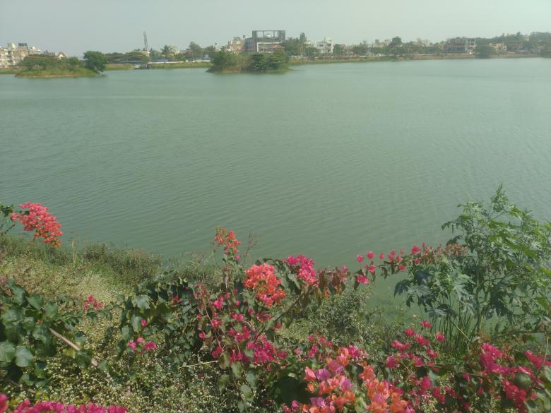 Free stock image of Lake in a city created by Nagabhushan Biliangadi