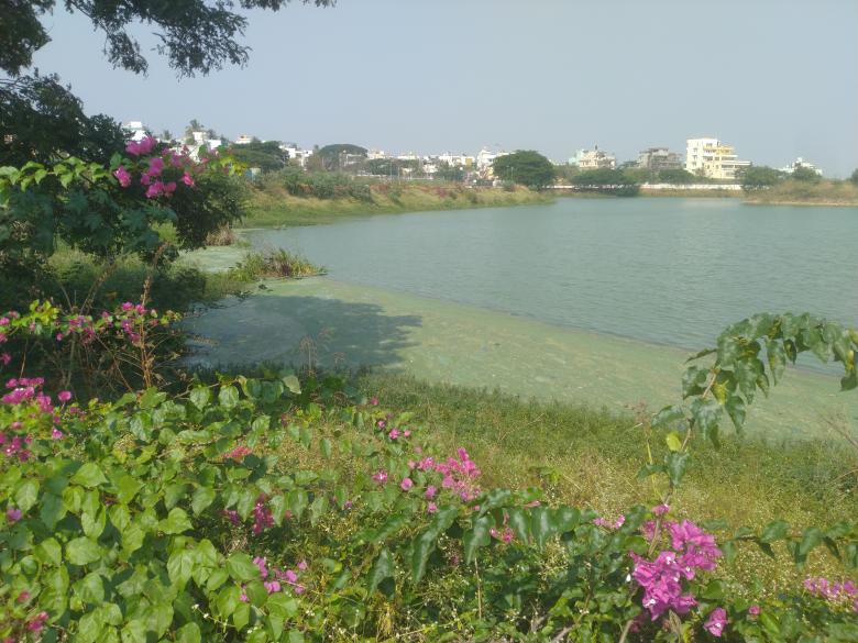 Free stock image of Lake in a city created by Nagabhushan Biliangadi