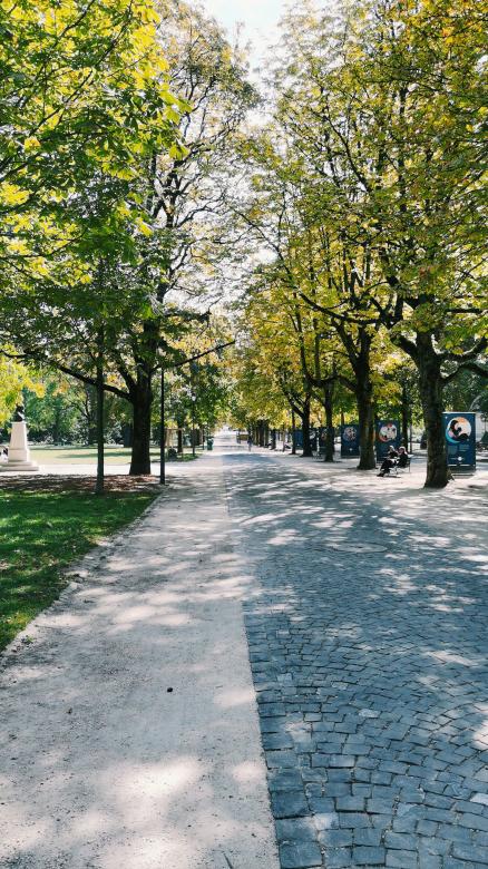 Free stock image of At a park in Geneva  created by Mena Abouelnour