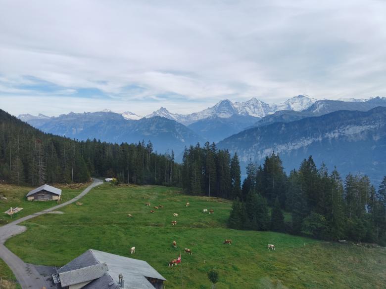 Free stock image of Countryside  created by Mena Abouelnour