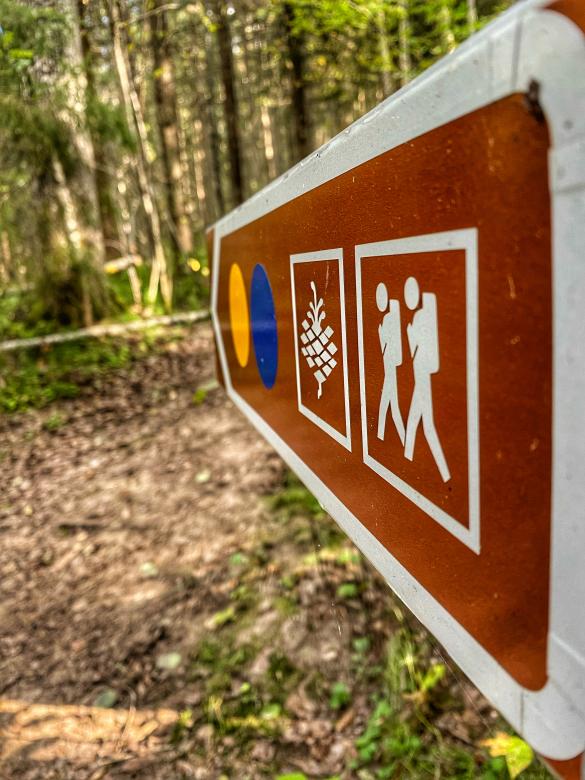 Free stock image of Hiking trail created by Luscinia