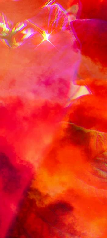 Free stock image of Folhas  created by Luis Arouche
