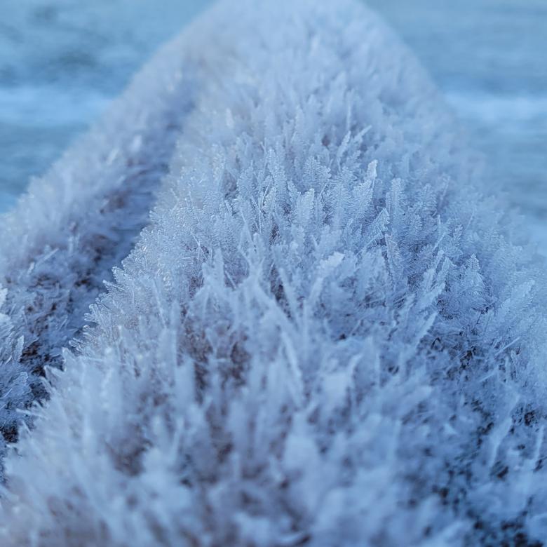 Free stock image of frosty tree created by Fredrik  Söderbäck