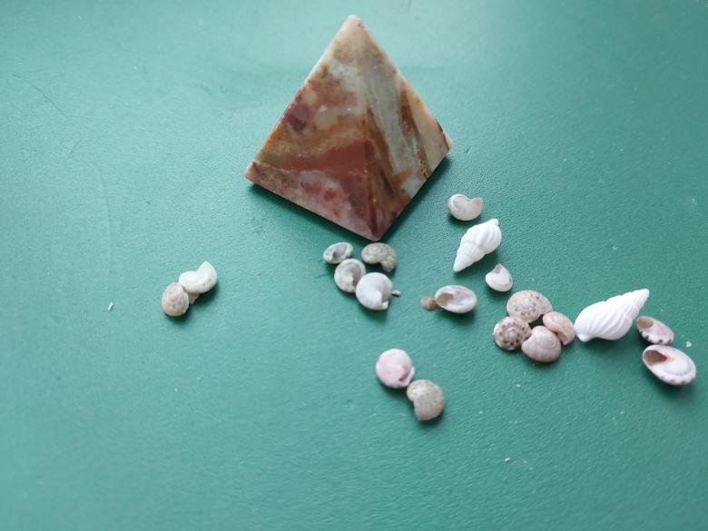 Free stock image of Sea and ocean small shells created by Oleg Prokopenko