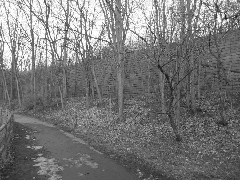 Free stock image of the walking trail created by ishrak mir