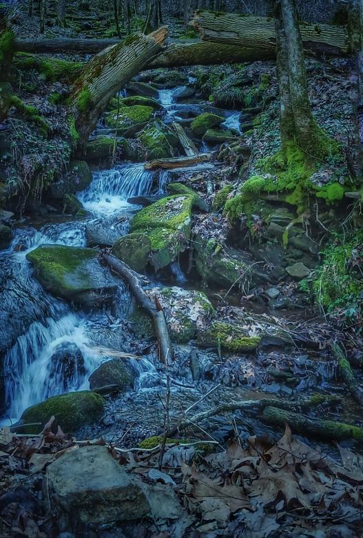 Free stock image of Spring on the way created by Samantha Mae Carter
