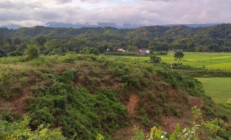 Free stock image of Green hill and forest created by Md Akas Mia