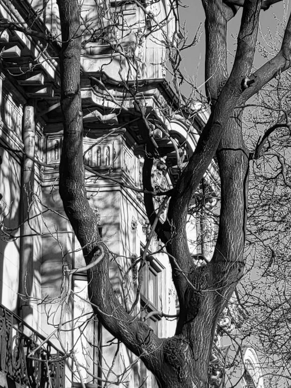 Free stock image of Bucharest architecture urbanism facade building created by Art Photography