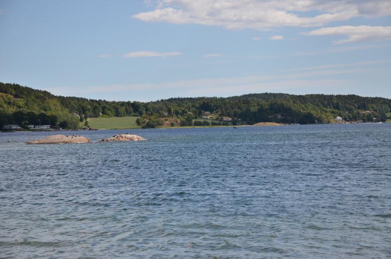 Free stock image of A seaview in the Stokke area  created by Erik Schellingerhout