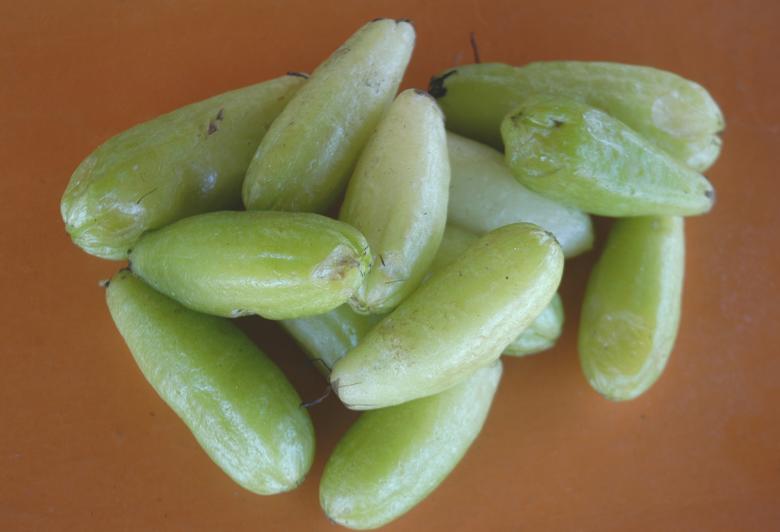 Free stock image of Biri-biri (Averrhoa bilimbi) created by Paulo Pedro P R Costa