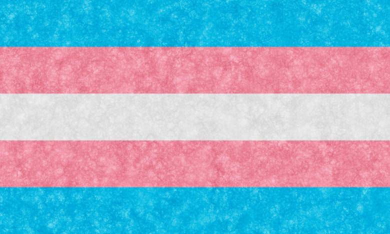 Free stock image of Velvet Transgender Flag created by Nicolas Raymond